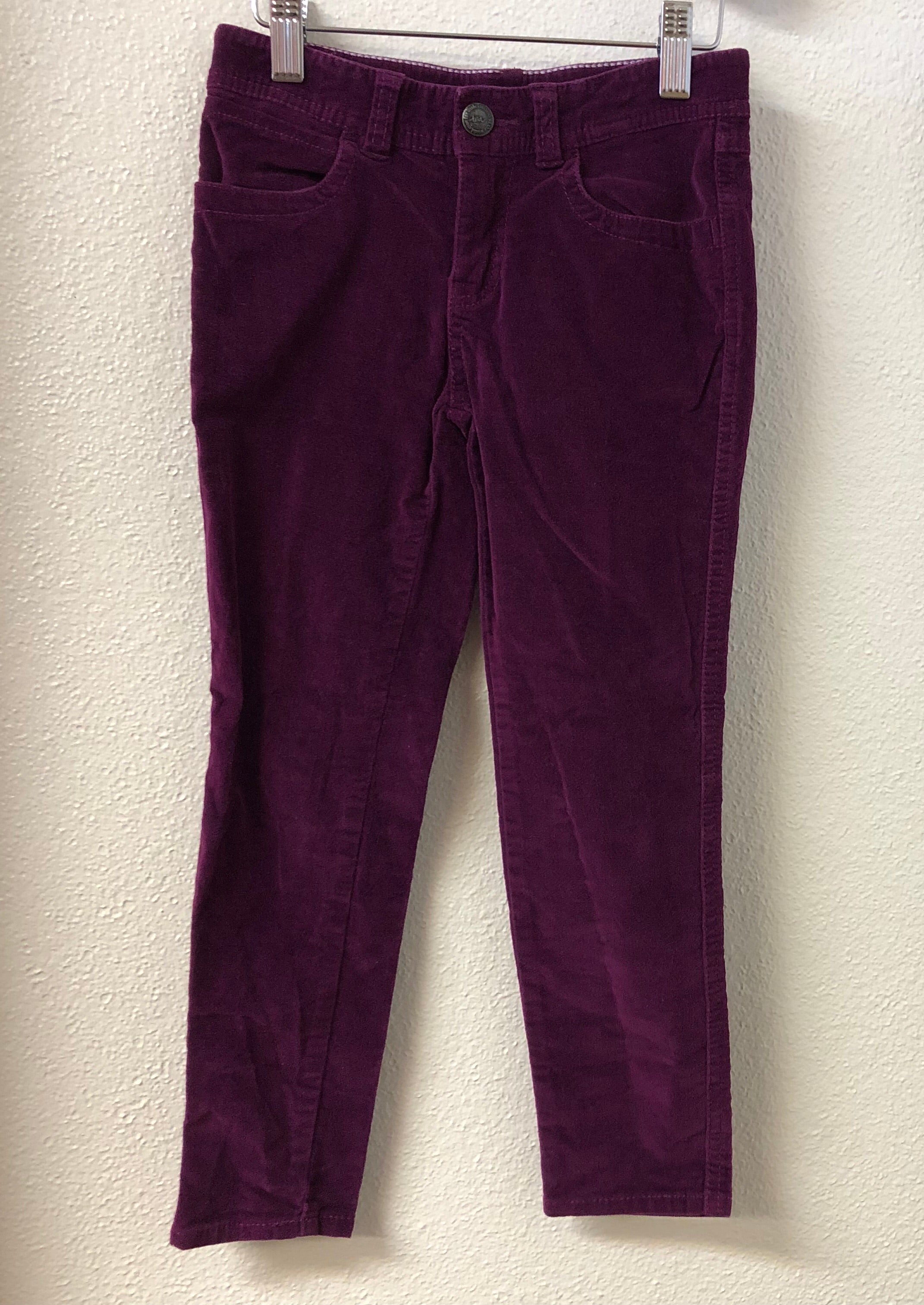 Size 7 Tea Collection Purple Velvet Pants